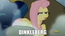 Size: 889x497 | Tagged: safe, edit, edited screencap, screencap, fluttershy, harry, 28 pranks later, g4, dinkleberg, discovery family logo, image macro, meme