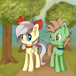 Size: 2000x2000 | Tagged: safe, artist:dbleki, oc, oc only, oc:terok, oc:wolfix, pegasus, pony, collar, cute, female, filly, hair bow, high res