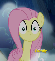 Size: 358x396 | Tagged: safe, screencap, fluttershy, pegasus, pony, 28 pranks later, g4, season 6, discovery family logo, female, fog, mare, solo