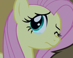 Size: 604x478 | Tagged: safe, screencap, fluttershy, pegasus, pony, 28 pranks later, g4, my little pony: friendship is magic, season 6, anxiety, crying, cute, female, mare, sad, scared, shyabetes, solo