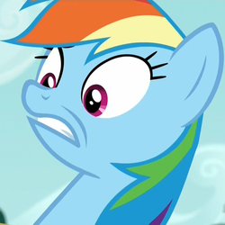 Size: 1000x1000 | Tagged: safe, screencap, rainbow dash, pony, 28 pranks later, g4, season 6, do not want, female, mare, reaction image, shocked, solo