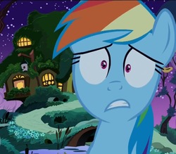 Size: 1417x1242 | Tagged: safe, screencap, rainbow dash, pony, 28 pranks later, g4, bust, cropped, female, fluttershy's cottage, looking at you, mare, night, portrait, scared, scaredy dash, solo, wat