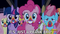 Size: 1230x697 | Tagged: safe, screencap, big macintosh, fluttershy, pinkie pie, twilight sparkle, alicorn, donkey, pony, 28 pranks later, g4, barn, cake, dark, discovery family, discovery family logo, discussion in the comments, food, it's just a prank bro, meme, rainbow, rainbow muzzle, smiling, twilight sparkle (alicorn)