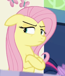 Size: 295x344 | Tagged: safe, screencap, fluttershy, pegasus, pony, 28 pranks later, g4, annoyed, crossed hooves, cute, female, floppy ears, frown, gif, glare, mare, non-animated gif, peeved, shyabetes, solo