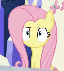 Size: 226x252 | Tagged: safe, screencap, fluttershy, pegasus, pony, 28 pranks later, g4, season 6, animated, female, fluttershy is not amused, gif, mare, peeved, solo, unamused