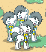 Size: 153x170 | Tagged: safe, oc, pony, temmie, pony town, bob, cute, group, group photo, ponified, pony town multeity, undertale