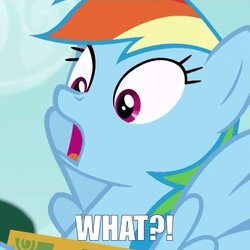 Size: 930x930 | Tagged: safe, edit, edited screencap, screencap, rainbow dash, 28 pranks later, g4, caption, female, image macro, meme, reaction, solo, surprised