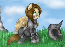 Size: 961x700 | Tagged: safe, artist:autumn-tea-pony, oc, oc only, oc:kite, pegasus, pony, alternate clothes, armor, bruised, fantasy class, grin, knight, smiling, solo, warrior