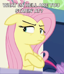 Size: 834x972 | Tagged: safe, screencap, fluttershy, pony, g4, duckman, female, gif, non-animated gif, solo