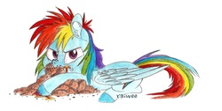 Size: 1793x906 | Tagged: safe, artist:raiwee, rainbow dash, pony, 28 pranks later, g4, cookie, ear fluff, female, food, glare, hoard, lying down, simple background, solo, traditional art, white background