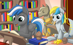 Size: 2560x1600 | Tagged: safe, artist:mysticalpha, oc, oc only, oc:cirrus sky, oc:cloud zapper, hippogriff, original species, armor, book, bookshelf, duo, library, mannequin, mushroom, notepad, pencil, reading, smiling, studying, talons