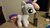 Size: 2688x1520 | Tagged: safe, artist:onlyfactory, sweetie belle, pony, unicorn, g4, bootleg, doll, electronic cigarette, exploitation, horn, irl, photo, plushie, toy, vape, vaping