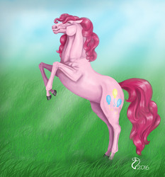 Size: 2316x2480 | Tagged: safe, artist:cvanilda, pinkie pie, earth pony, pony, g4, female, high res, hoers, realistic, solo