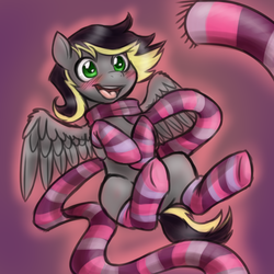 Size: 1000x1000 | Tagged: safe, artist:jitterbugjive, oc, oc only, oc:aero, pegasus, pony, blushing, clothes, colt, excited, femboy, male, offspring, parent:derpy hooves, parent:oc:warden, parents:canon x oc, parents:warderp, scarf, socks, solo, striped socks, trap