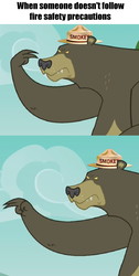 Size: 747x1483 | Tagged: safe, edit, harry, bear, 28 pranks later, g4, fire safety, hat, i'm watching you, male, smokey bear, solo