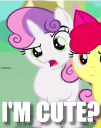 Size: 252x320 | Tagged: safe, sweetie belle, g4, image macro, meme, question, raised eyebrow