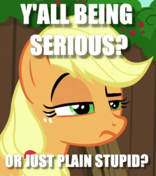 Size: 396x443 | Tagged: safe, edit, edited screencap, screencap, g4, the cart before the ponies, annoyed, caption, image macro, meme, question