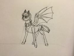 Size: 3264x2448 | Tagged: artist needed, safe, oc, oc only, oc:gold batton, bat pony, pony, high res, monochrome, rough sketch, solo, traditional art