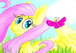 Size: 1000x700 | Tagged: safe, artist:jadehellfire, fluttershy, butterfly, g4, female, grass, looking at you, solo, spread wings