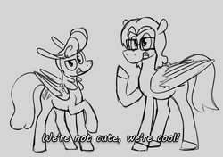 Size: 1000x704 | Tagged: safe, artist:enma-darei, oc, oc only, oc:cold snap, oc:mortimer hooves, pegasus, pony, demolition bird squad, duo, female, grin, looking at you, male, mare, monochrome, smiling, stallion, text
