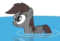 Size: 1024x698 | Tagged: safe, artist:duckponies, oc, oc only, pegaduck, simple background, solo, transparent background, vector, water