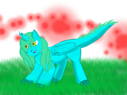 Size: 2592x1944 | Tagged: safe, artist:coolcatcool, oc, oc only, alicorn, dracony, dragon, hybrid, pony, alicorn oc, broken horn, dragon hybrid, grass, horn, lidded eyes, open mouth, red, smiling, solo