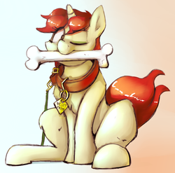 Size: 1648x1629 | Tagged: safe, artist:emberkaese, oc, oc only, oc:velvet pastry, behaving like a dog, bone, collar, leash, mouth hold, pet tag, simple background, sitting