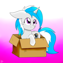 Size: 1024x1024 | Tagged: safe, artist:theartistsora, oc, oc only, oc:brony lyrics, pony, box, commission, pony in a box