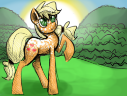 Size: 800x600 | Tagged: safe, artist:sallindaemon, applejack, g4, alternate design, appaloosa, female, newbie artist training grounds, solo, sunrise