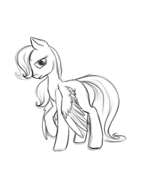 Size: 800x970 | Tagged: safe, artist:28gooddays, fluttershy, pony, g4, blank flank, filly, hair over one eye, looking at you, monochrome, raised hoof, simple background, sketch, spread wings, white background, young