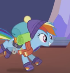 Size: 367x383 | Tagged: safe, screencap, rainbow dash, pegasus, pony, dungeons and discords, g4, clothes, cute, dashabetes, female, hat, mare, scarf, smiling, solo