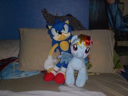 Size: 1600x1200 | Tagged: safe, artist:marco-the-scorpion, rainbow dash, g4, build-a-bear, crossover, irl, male, photo, plushie, sonic the hedgehog, sonic the hedgehog (series)