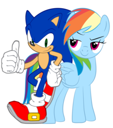 Size: 1982x2257 | Tagged: safe, artist:sputnikmann, rainbow dash, g4, crossover, male, simple background, sonic the hedgehog, sonic the hedgehog (series), transparent background