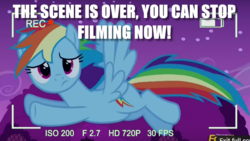 Size: 768x432 | Tagged: safe, rainbow dash, g4, acting, breaking the fourth wall, confused, flying, image macro, meme