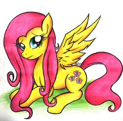 Size: 2447x2403 | Tagged: safe, artist:gerardwei, fluttershy, g4, cute, female, high res, prone, shyabetes, simple background, solo, traditional art