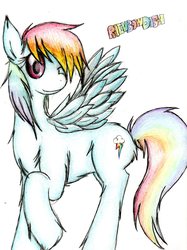 Size: 2359x3154 | Tagged: safe, artist:gerardwei, rainbow dash, g4, chest fluff, ear fluff, female, fluffy, looking at you, one eye closed, solo, traditional art, wink