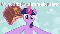 Size: 720x405 | Tagged: safe, edit, edited screencap, screencap, twilight sparkle, g4, hearts and hooves day (episode), caption, female, hearts and hooves day, image macro, meme, out of context, solo