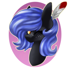 Size: 950x950 | Tagged: safe, artist:immagoddampony, oc, oc only, oc:cloudy night, solo