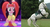 Size: 1173x629 | Tagged: safe, screencap, pacific glow, horse, pony, g4, my little pony: friendship is magic, the saddle row review, comparison, female, horses doing horse things, lipizzaner, mare, rearing, twins