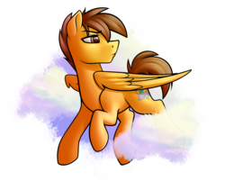 Size: 3700x2975 | Tagged: safe, artist:rubywave32, oc, oc only, oc:compylight, pegasus, pony, cloud, high res, solo
