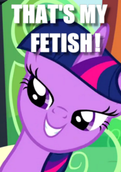 Size: 368x522 | Tagged: safe, edit, edited screencap, screencap, twilight sparkle, g4, bedroom eyes, caption, grin, image macro, meme, smiling, that is my fetish