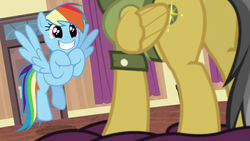 Size: 1280x720 | Tagged: safe, screencap, daring do, rainbow dash, pony, g4, stranger than fan fiction, butt, daring donk, fangirl, female, mare, plot, squee