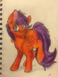 Size: 3264x2448 | Tagged: safe, artist:snowfoxythefox, scootaloo, g4, colored, colored pencil drawing, colored sketch, female, high res, pencil, pencil drawing, smiling, smirk, solo, traditional art