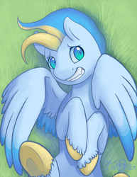 Size: 638x825 | Tagged: safe, artist:katotter, oc, oc only, oc:doppel, pegasus, pony, cute, my little changeling, solo