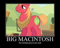 Size: 750x600 | Tagged: safe, screencap, big macintosh, earth pony, pony, g4, male, motivational poster, solo, stallion