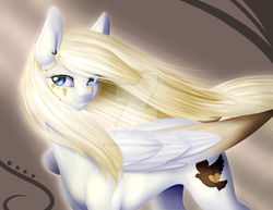 Size: 1024x791 | Tagged: safe, artist:noodlefreak88, oc, oc only, oc:angelica, pegasus, pony, big ears, colored wings, detailed, eye contact, multicolored wings, solo, watermark