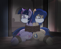 Size: 1024x819 | Tagged: safe, artist:radiantrealm, flash sentry, twilight sparkle, pegasus, pony, g4, bondage, bound together, cloth gag, commission, female, femsub, flare warden, gag, glare, help us, kidnapped, magic suppression, one eye closed, ropes, rule 63, scared, show accurate, sitting, story included, struggling, sub sentry, submissive, subwarden, tied up, twisub, wide eyes, wink