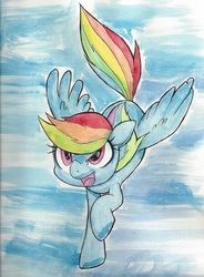 Size: 2496x3397 | Tagged: safe, artist:buttercupsaiyan, rainbow dash, g4, female, flying, high res, sky, solo, traditional art