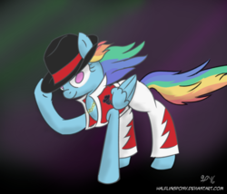 Size: 840x720 | Tagged: safe, artist:halflingpony, rainbow dash, pony, g4, clothes, female, hat, solo