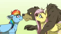 Size: 1024x565 | Tagged: safe, artist:inuhoshi-to-darkpen, fluttershy, harry, rainbow dash, bear, pegasus, pony, 28 pranks later, g4, boop, ear fluff, eye contact, female, floppy ears, fluffy, frown, glare, green background, grin, hug, mare, nervous, nose wrinkle, noseboop, patreon, patreon logo, simple background, smiling, sweat